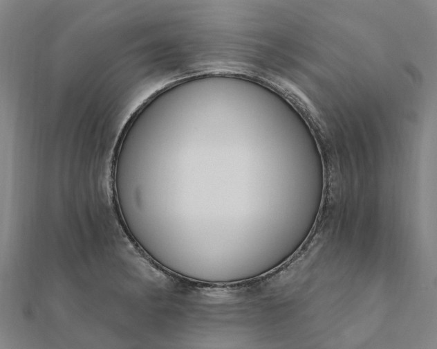 X0000112081182200908181235