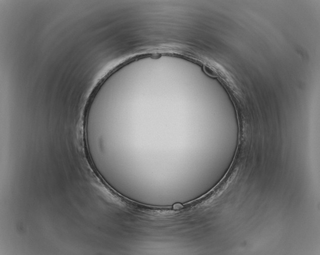 X0000112081184200908181235