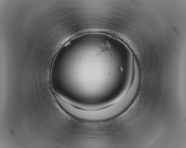 X0000112081185200908181235