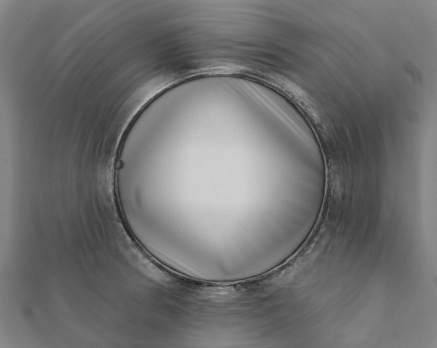 X0000112081186200908181235