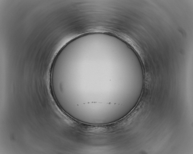 X0000112081187200908181235