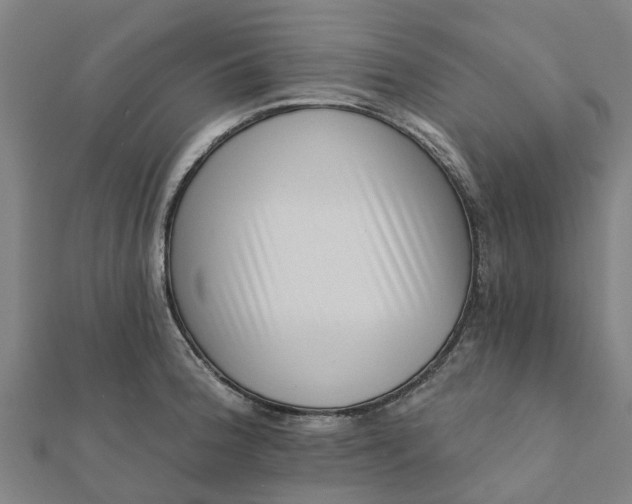 X0000112081188200908181235