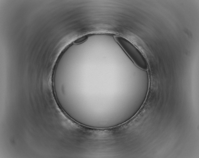 X0000112081189200908181235