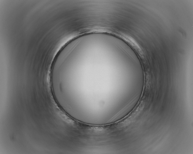 X0000112081190200908181235