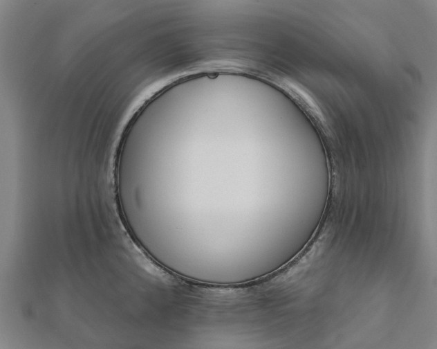 X0000112081192200908181235