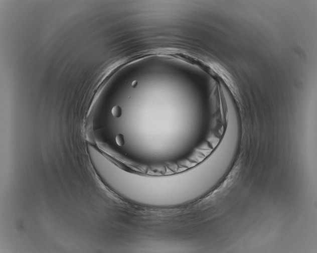 X0000112081193200908181235