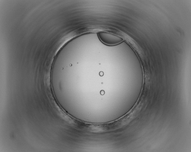 X0000112081194200908181235