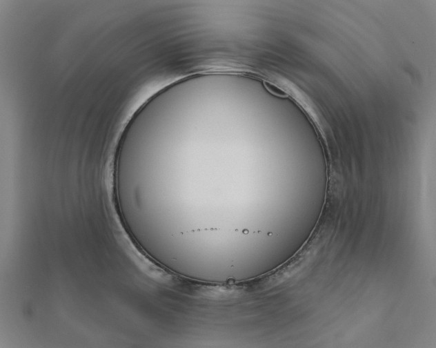 X0000112081195200908181235