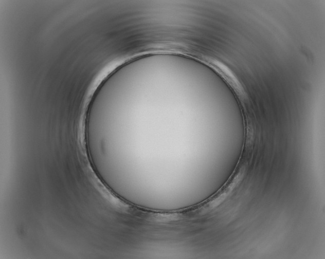 X0000112081196200908181235