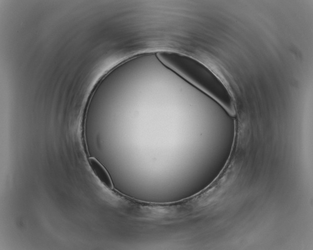 X0000112081197200908181235