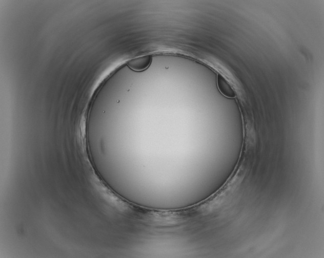 X0000112081198200908181235