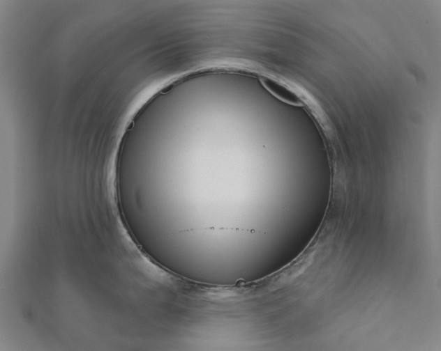 X0000112081199200908181235