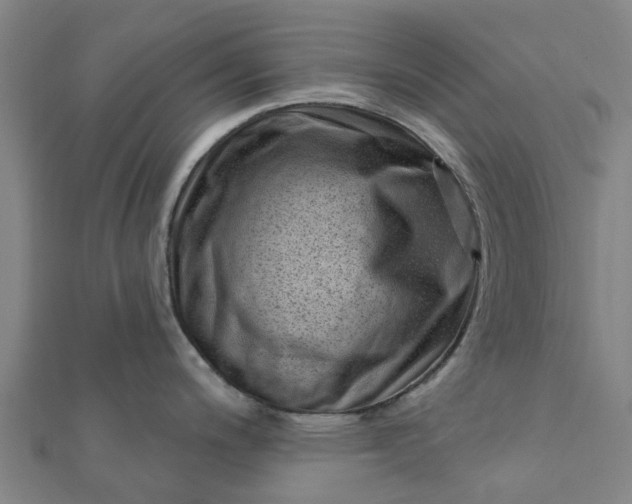 X0000112081200200908181235