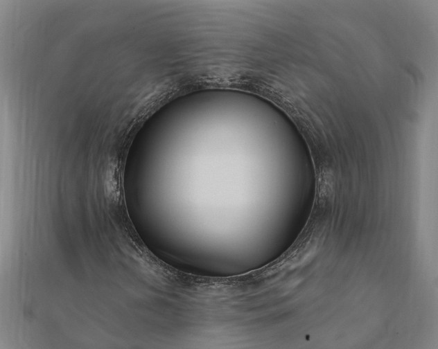 X0000112081202200908181234