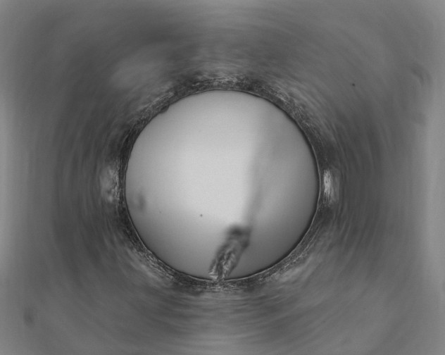 X0000112081203200908181234