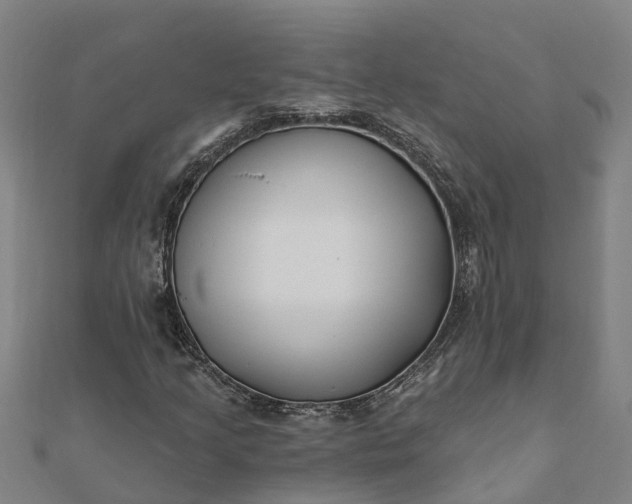 X0000112081205200908181234