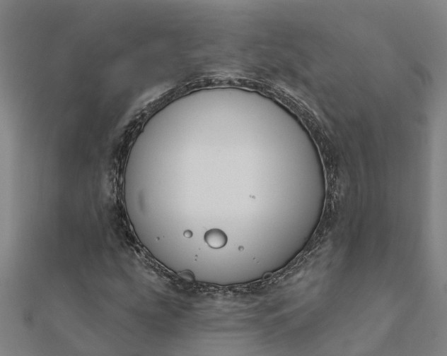 X0000112081207200908181234