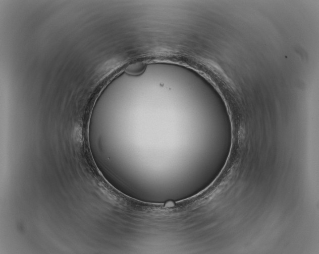 X0000112081209200908181234