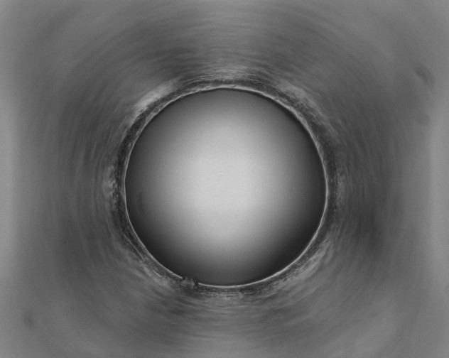 X0000112081210200908181234