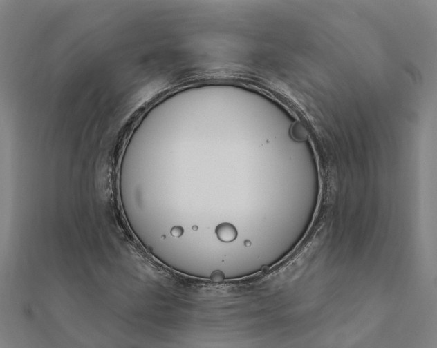 X0000112081211200908181234