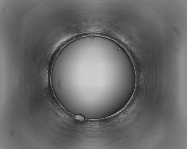 X0000112081214200908181234