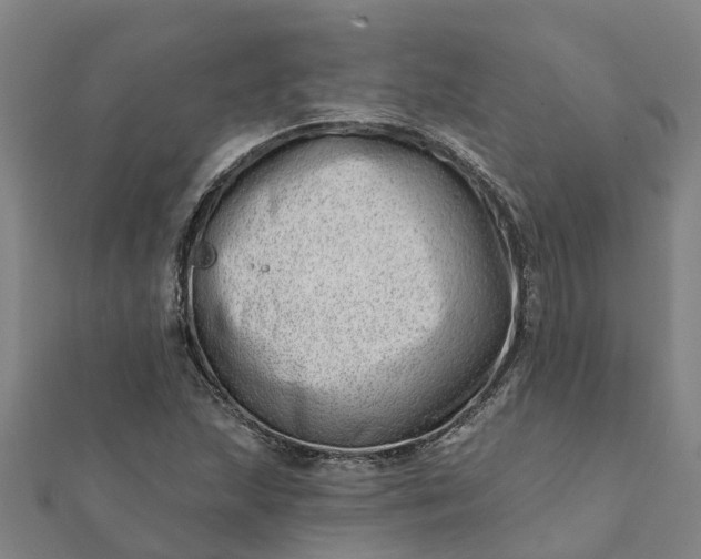 X0000112081215200908181235