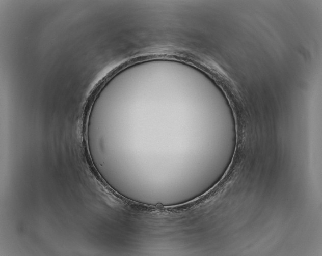 X0000112081216200908181235