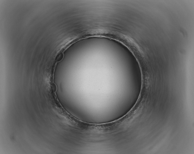 X0000112081217200908181235