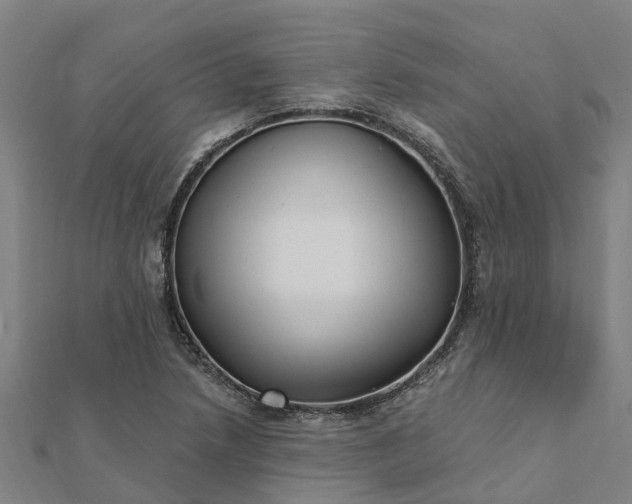 X0000112081218200908181235