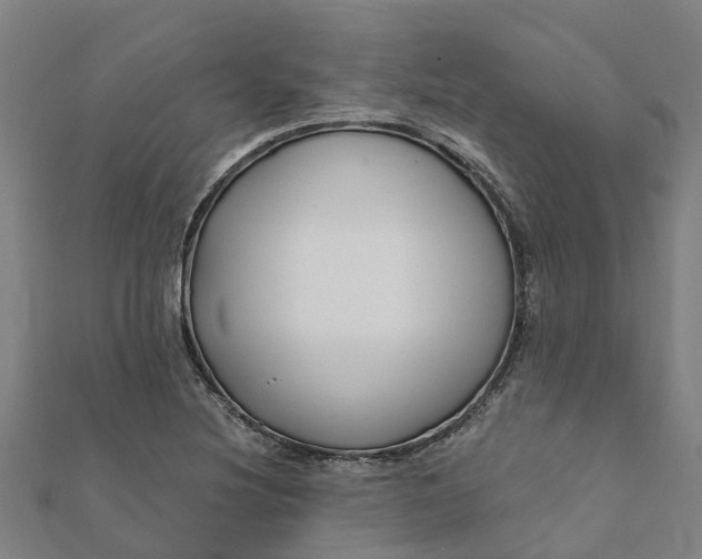 X0000112081220200908181235