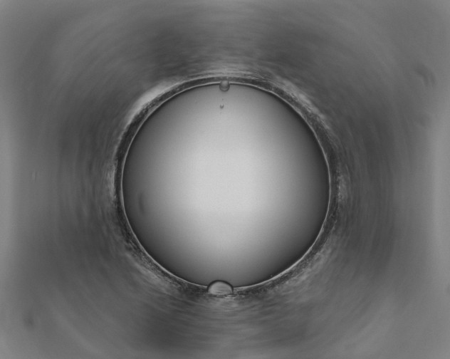 X0000112081222200908181235