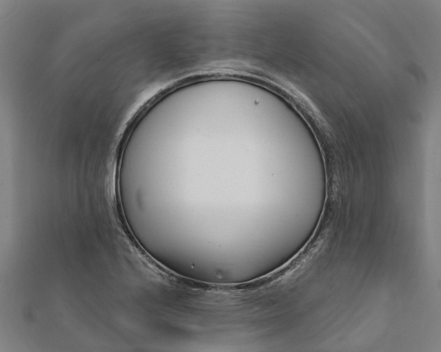 X0000112081224200908181235