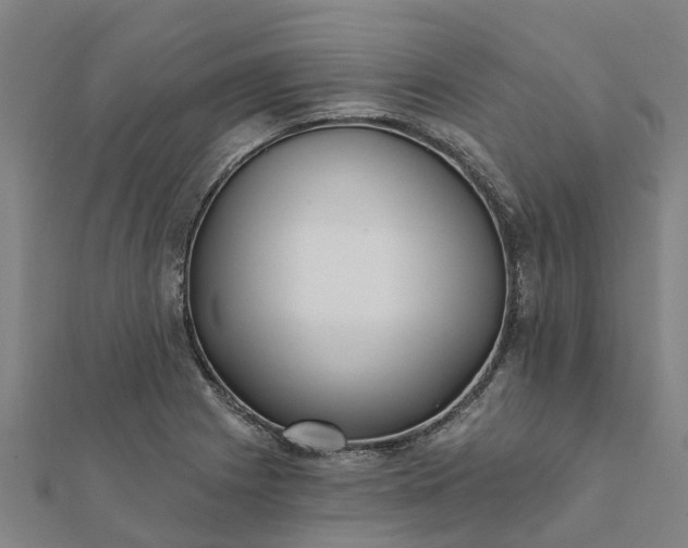 X0000112081225200908181235