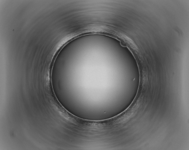 X0000112081226200908181235