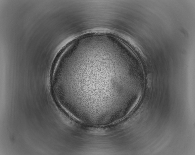 X0000112081229200908181235