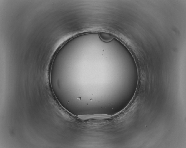 X0000112081230200908181235