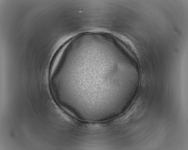 X0000112081231200908181235