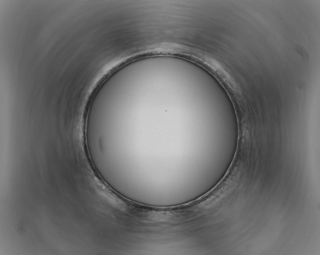 X0000112081232200908181235