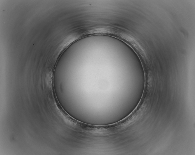 X0000112081233200908181235