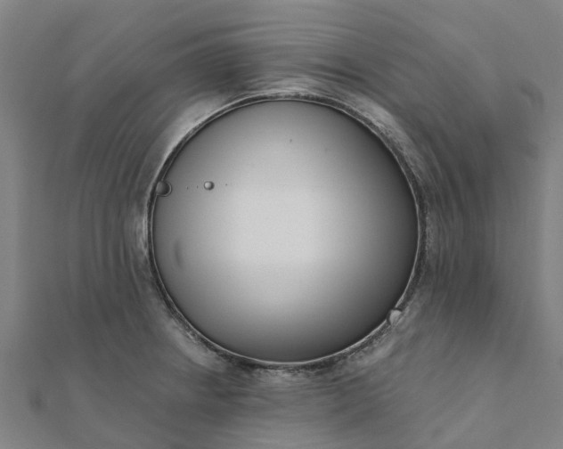 X0000112081234200908181235