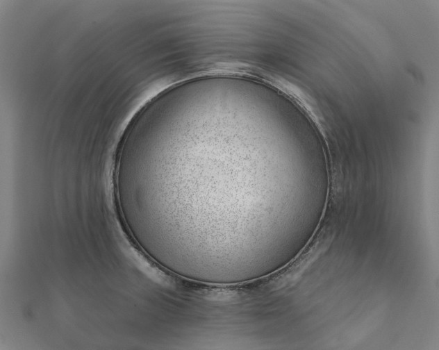 X0000112081235200908181235