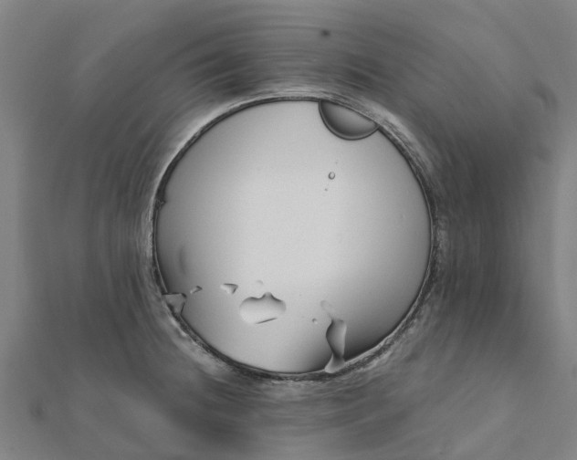 X0000112081236200908181235