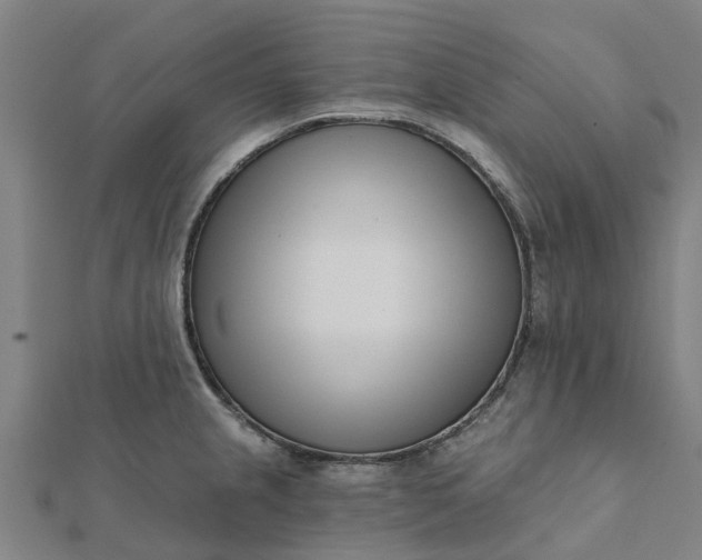 X0000112081237200908181235