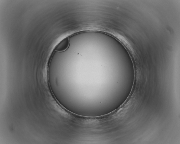 X0000112081238200908181235