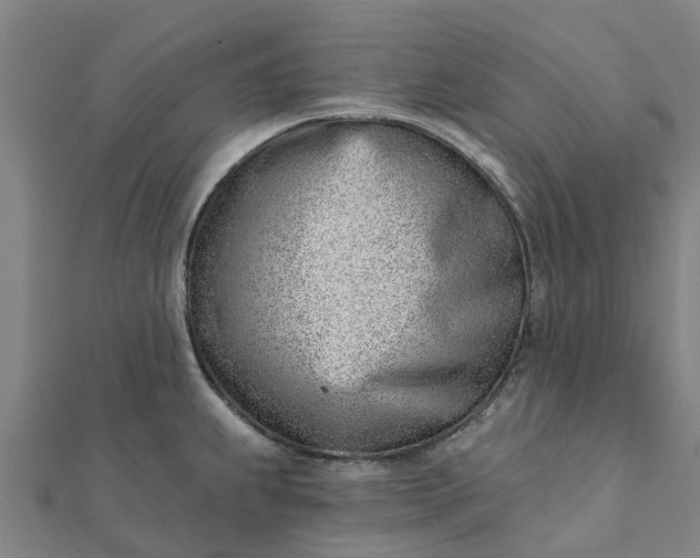 X0000112081239200908181235