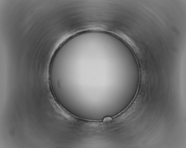 X0000112081240200908181235