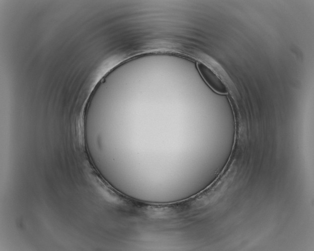 X0000112081242200908181235