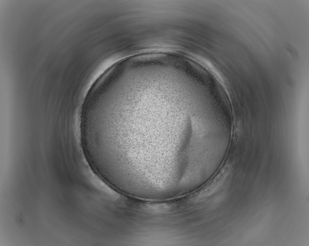 X0000112081243200908181235