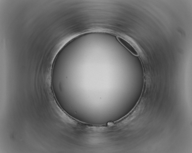 X0000112081244200908181235