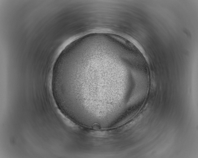 X0000112081245200908181235